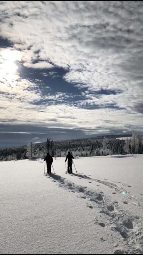 Loma-Laattaja Villa Hyrynsalmi Bagian luar foto