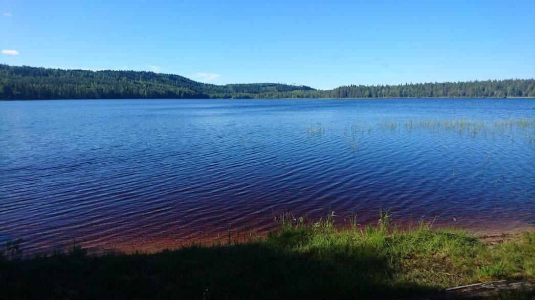 Loma-Laattaja Villa Hyrynsalmi Bagian luar foto